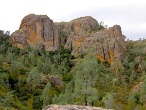 Pinnacles National Park