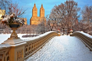 Eden Made, USA, New York, 