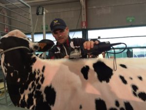 Fiere Zootecniche Internazionali di Cremona