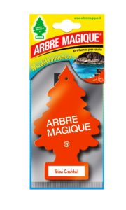Arbre Magique