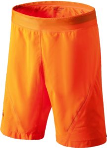 Shorts Dynafit Alpine