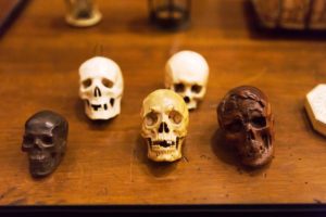 Halloween Museo Bagatti Valsecchi