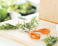 Fiskars
