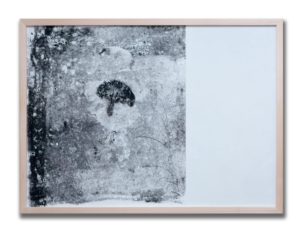 Marta Galbusera - Radiografie di tempo, serie 2017 - Frottage, inchiostro su carta