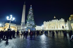 ACCESO QUESTA SERA IN SAN PIETRO L’ALBERO DEL PAPA