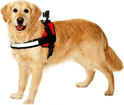 Activeon 360 Dog Vest