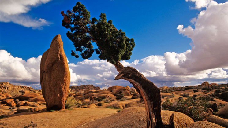 I Parchi della California dove storia, cultura e natura si incontrano