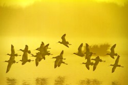 A MUSA di Cervia le immagini suggestive del Parco del Delta del Po