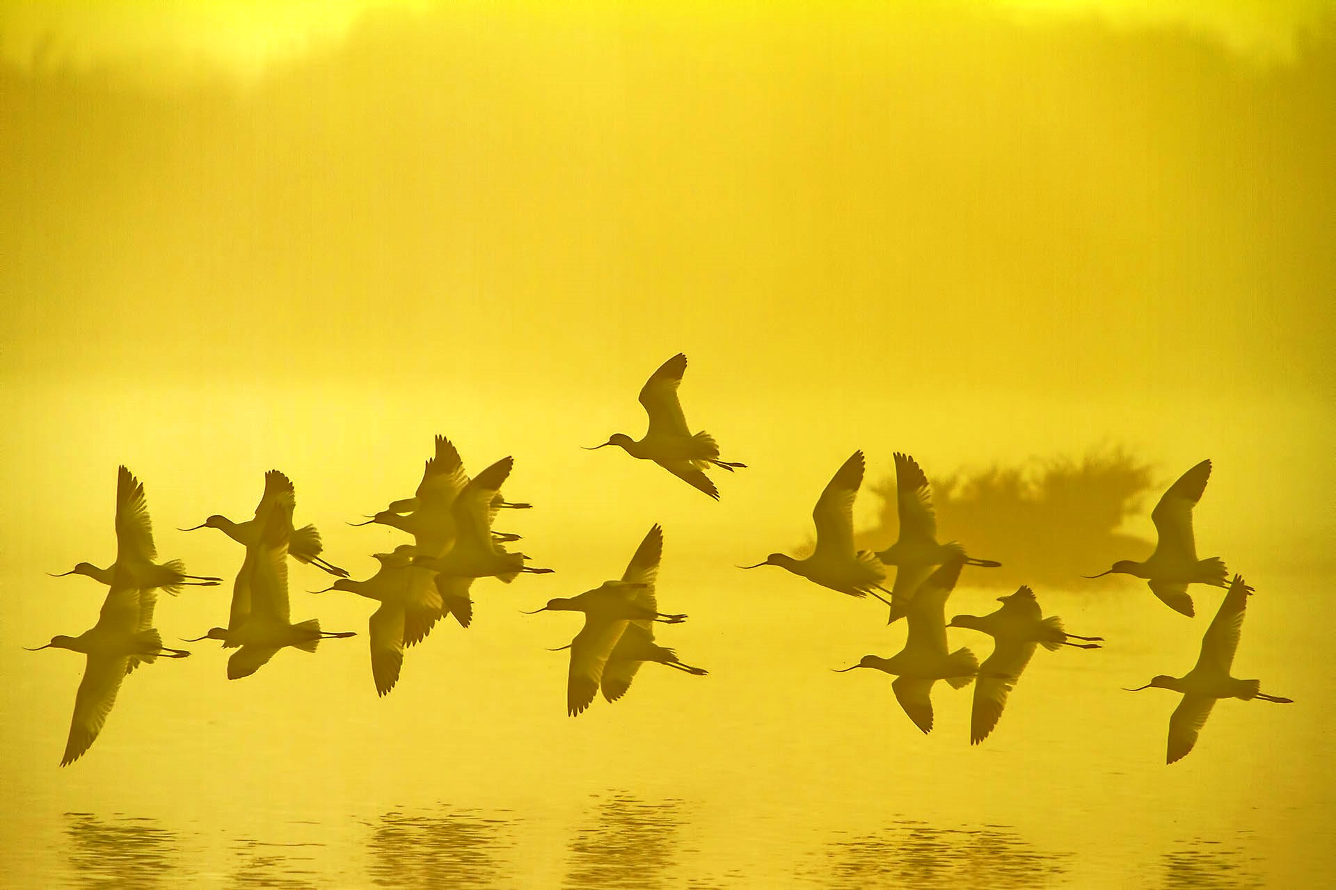 Mostra fotografica a MUSA Cervia