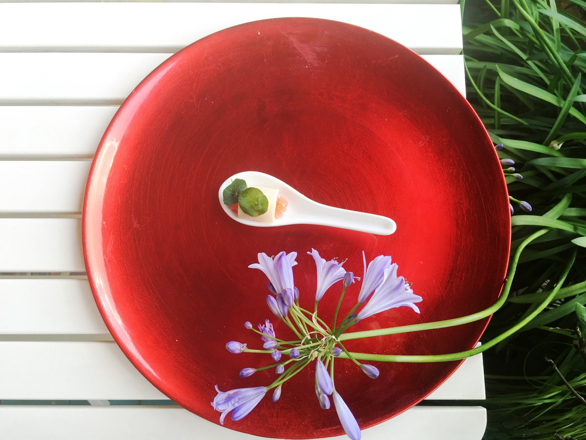 Provolone pomodoro e nasturzio