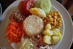 ALIMENTAZIONE & ATTIVITà ORMONALE