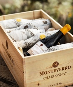 Monteverro presenta le mini size dei suoi vini di punta