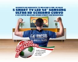 Grande concorso Meliconi “VINCI CON GLI AZZURRI”