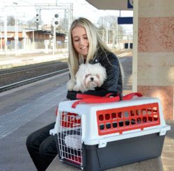 In viaggio con Atlas Trendy di Ferplast, il trasportino per gatti e cani di piccola taglia