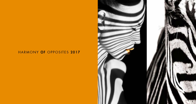 Il nuovo calendario MAP 2017 “Harmony of opposites” in Limited Edition