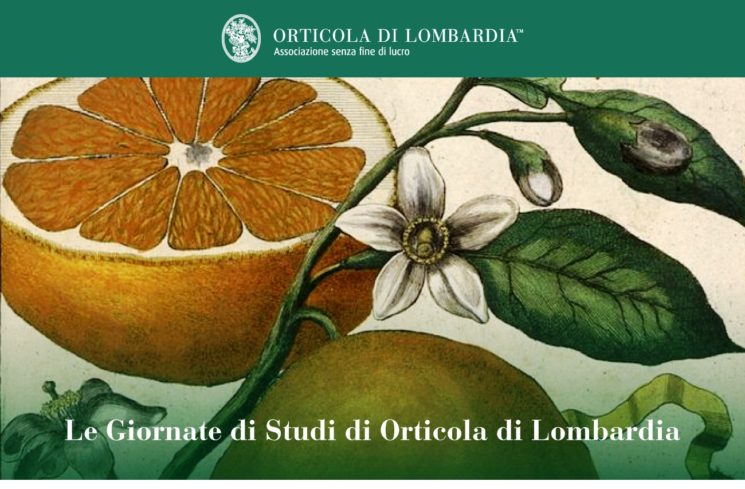 Le Giornate di Studi di Orticola di Lombardia – Secondo ciclo: Piante per il giardino italiano