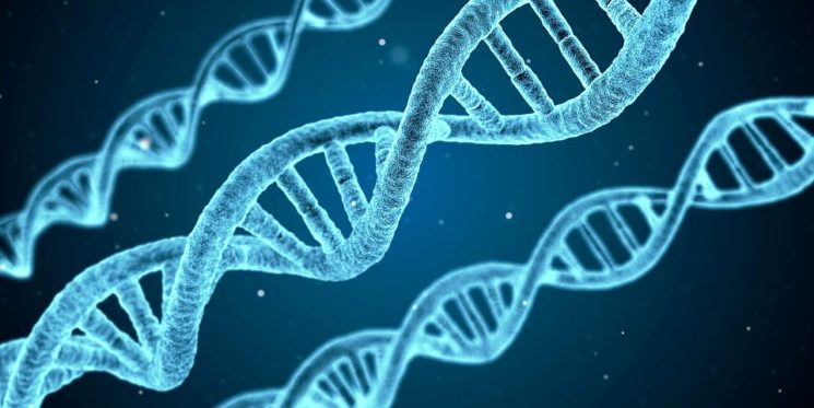 Meningite, al via la campagna di sensibilizzazione