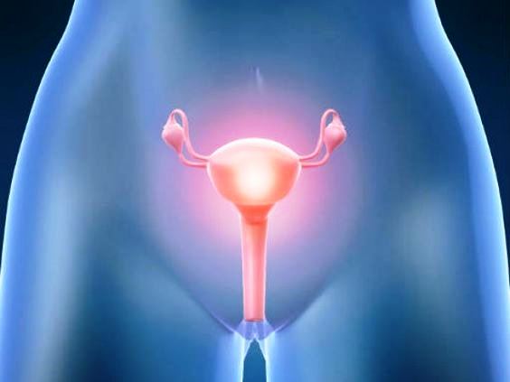 50mila donne in Italia convivono con il Tumore Ovarico