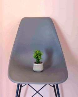 Le Calcine di Wilson & Morris: pitture per uno stile materico e contemporaneo