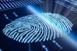 Cyber Security: nuova partnership Yoroi-Dimension Data