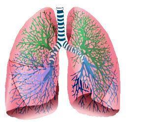 Immunoncologia di precisione per il carcinoma polmonare