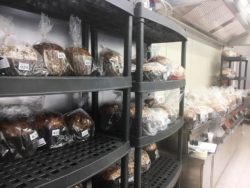 Concorso Panettone Day 2017 – I nomi dei finalisti