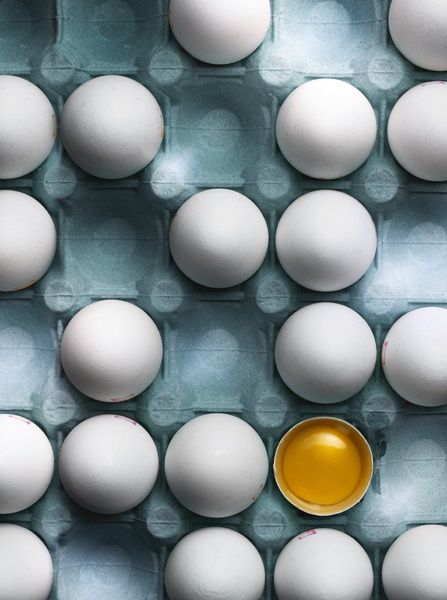 Fipronil: Camarda (UNIBA), prodotti autorizzati non contaminano uova