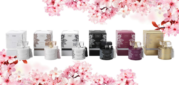 Nuovo Perfume Sampler, cofanetto di sei seducenti fragranze firmate Simone Cosac