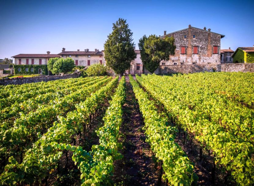 Proposte Berlucchi per il Festival Franciacorta