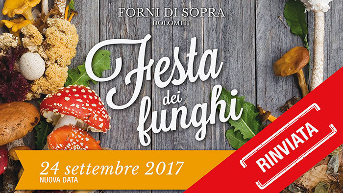 Festa dei Funghi