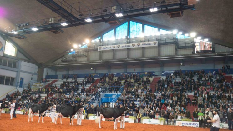 Fiere Zootecniche Internazionali di Cremona dal 25 al 28 ottobre 2017