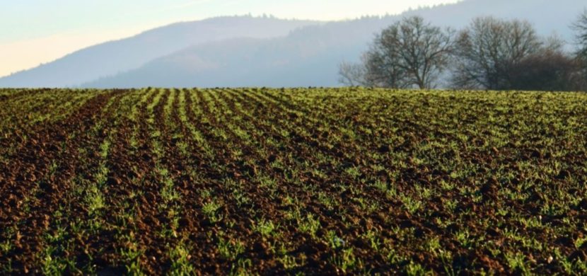 ‘Cambia la terra’: i risultati della campagna di sensibilizzazione promossa da FederBio in partnership con Probios