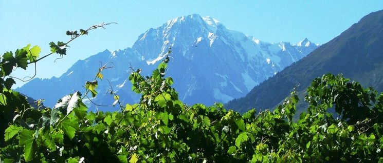 Vini della Valle d’Aosta, una regione pronta a stupire