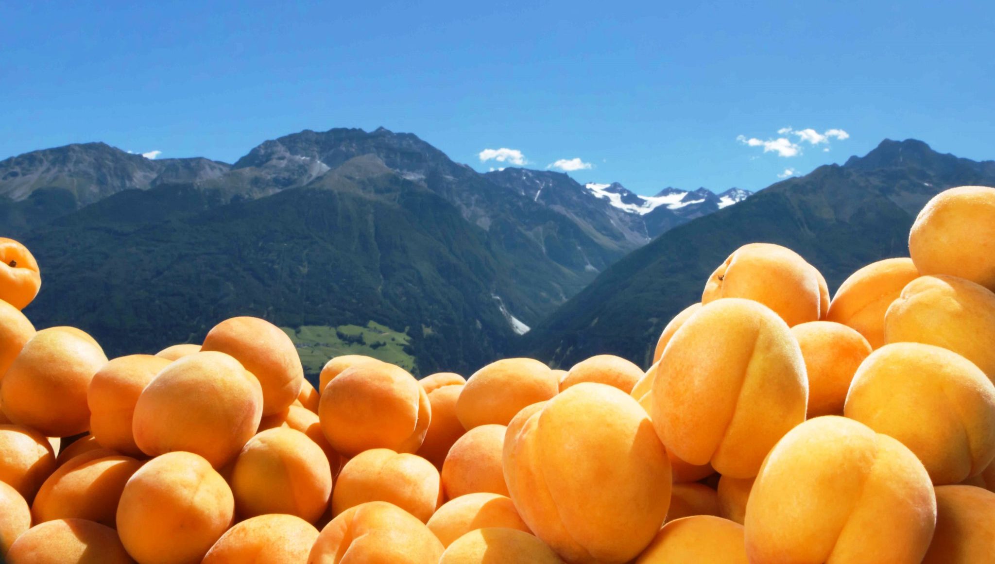 Festa del Marmo e delle Albicocche a Lasa – Val Venosta (BZ) il 4 e 5 agosto