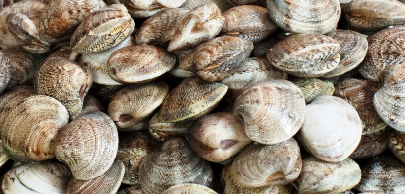 I pescatori di vongole dei distretti marittimi di Venezia e Chioggia ottengono la prima certificazione MSC in Italia