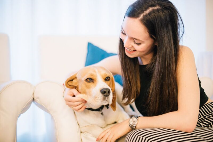 26 agosto giornata internazionale del CANE