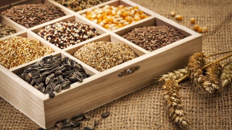 “Più cereali, più vitalità”. Dr Schär punta sul perfetto mix dei cereali preziosi per offrire sempre più gusto, qualità e benessere