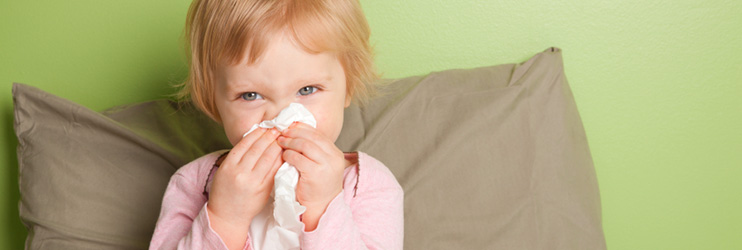 Osservatorio Influenza