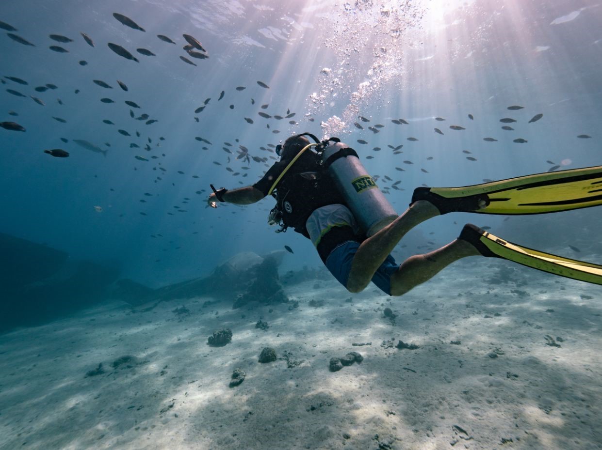 La Giornata Mondiale degli Oceani