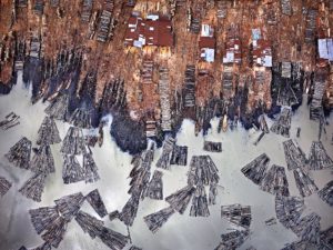 Anthropocene