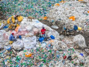 Anthropocene
