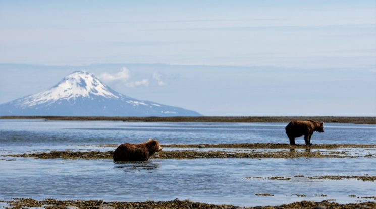 Concorso “Vinci l’Alaska 2019” messo in palio da Pam e Panorama e da Alaska SeaFood: è di Milano la vincitrice