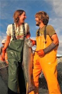 Salmone selvaggio dell'Alaska