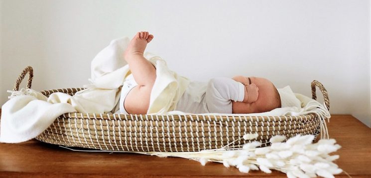 Pitti Bimbo 90: Petit Bateau e Treedom insieme per la natura
