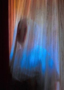 Festival della Fotografia Europea 2020 a Reggio Emilia