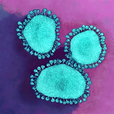 Coronavirus: i consigli di MioDottore per affrontare al meglio il virus