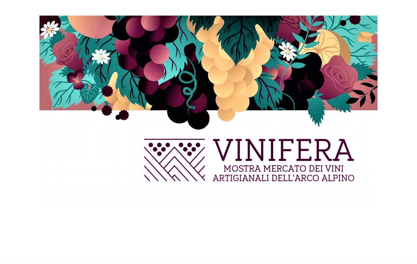 Vinifera