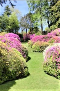 Orto botanico Villa Carlotta