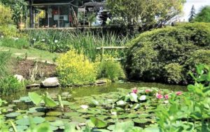 Orto botanico di Bergamo