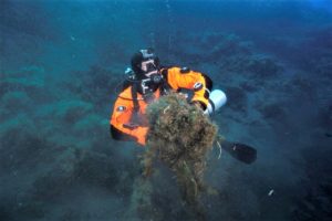 8 GIUGNO. GIORNATA MONDIALE DEGLI OCEAN